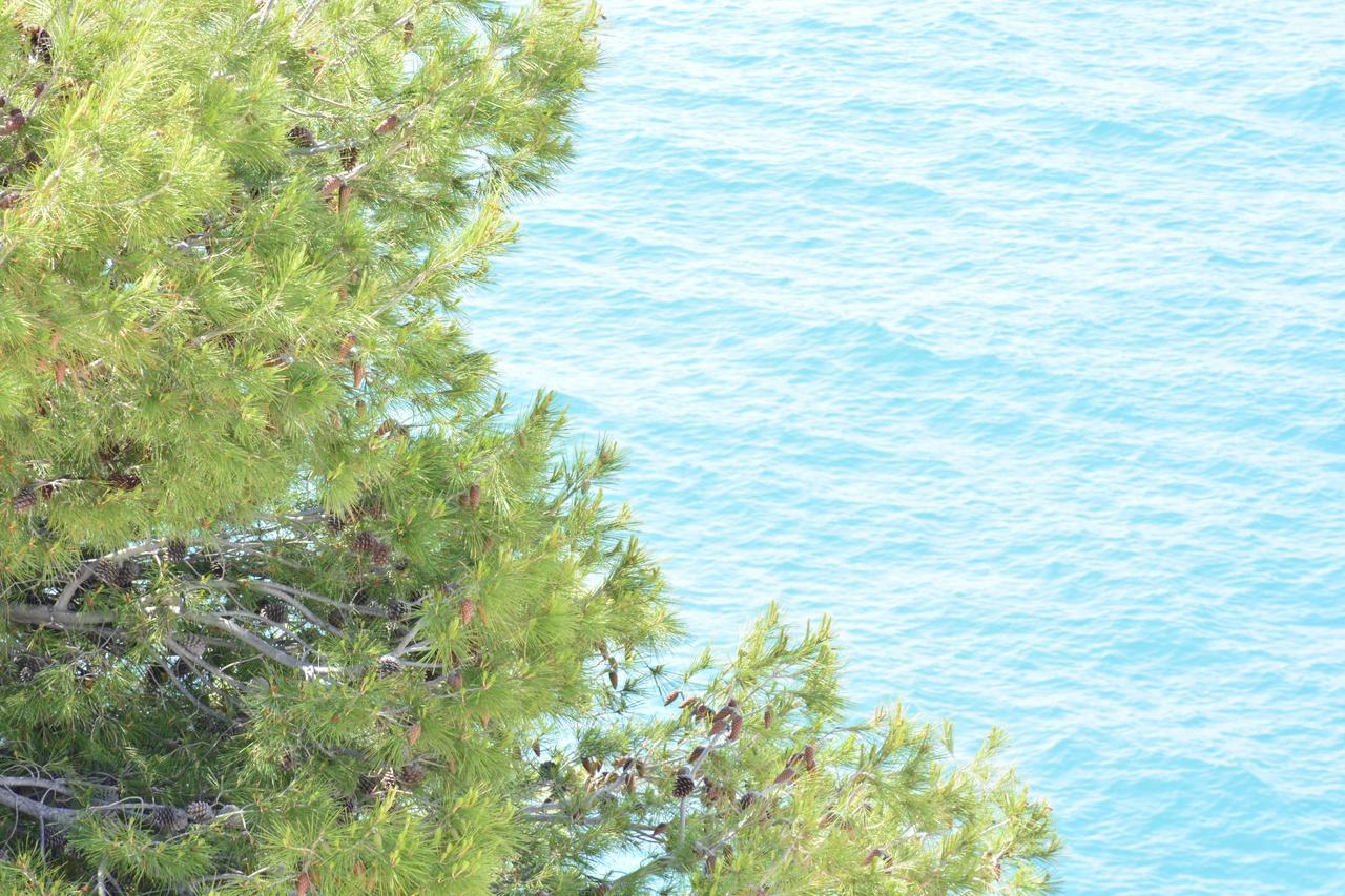 Blancos Rooms Hotel Peñíscola Exteriör bild